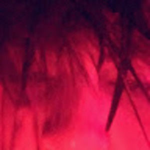 Meet your Posher, Maxwell